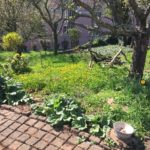 Frühling im Garten