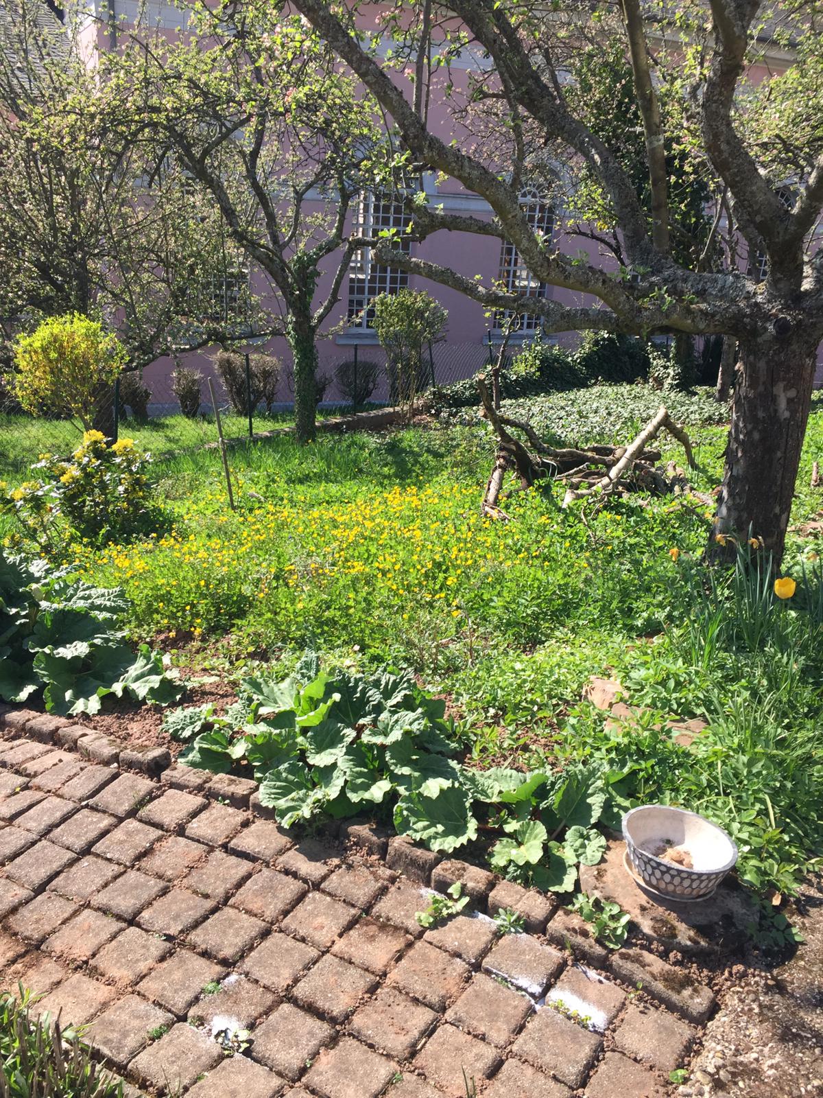 Frühling im Garten