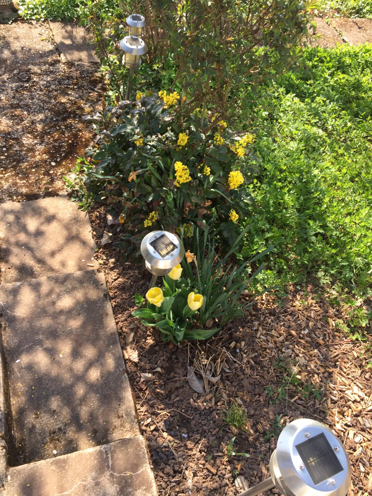 Frühling im Garten